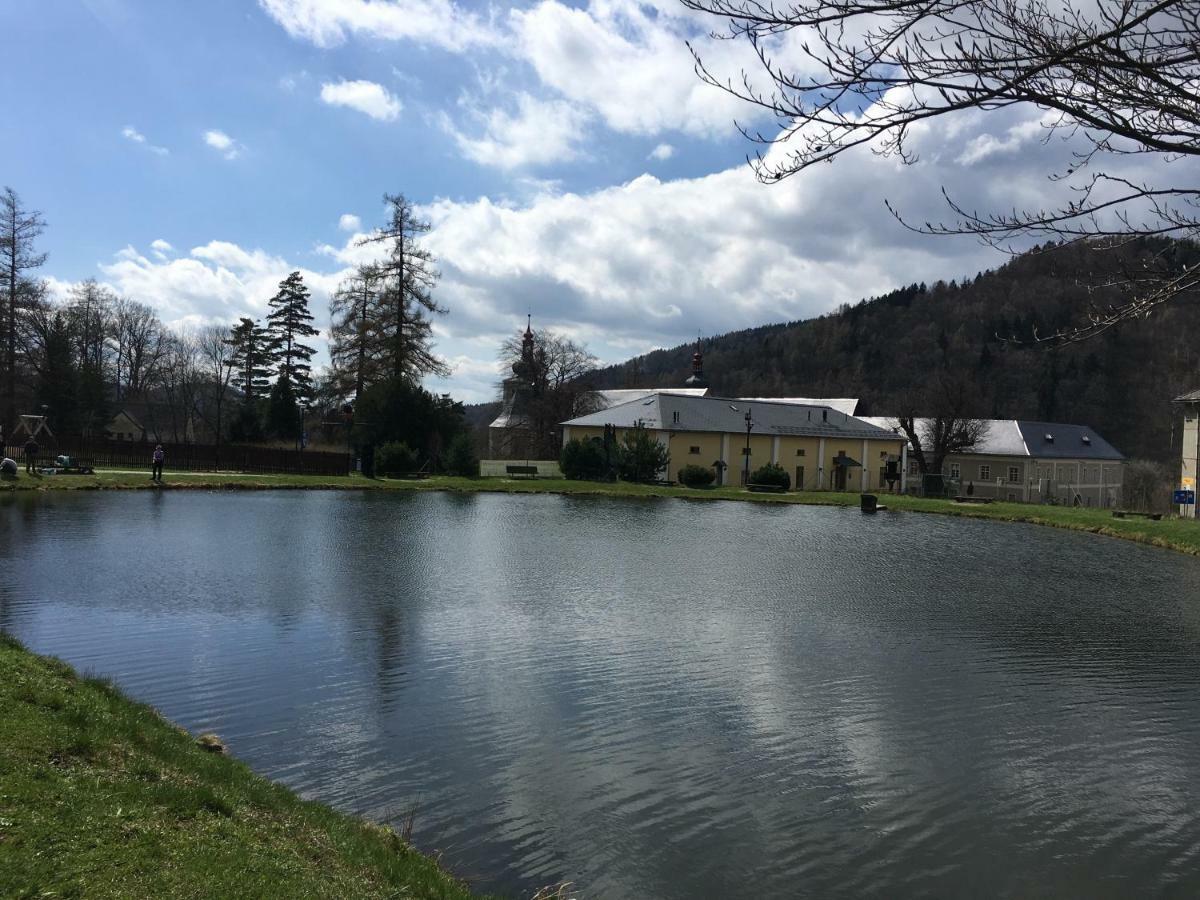 Apartman Dlouhe Strane Loučná nad Desnou Екстериор снимка